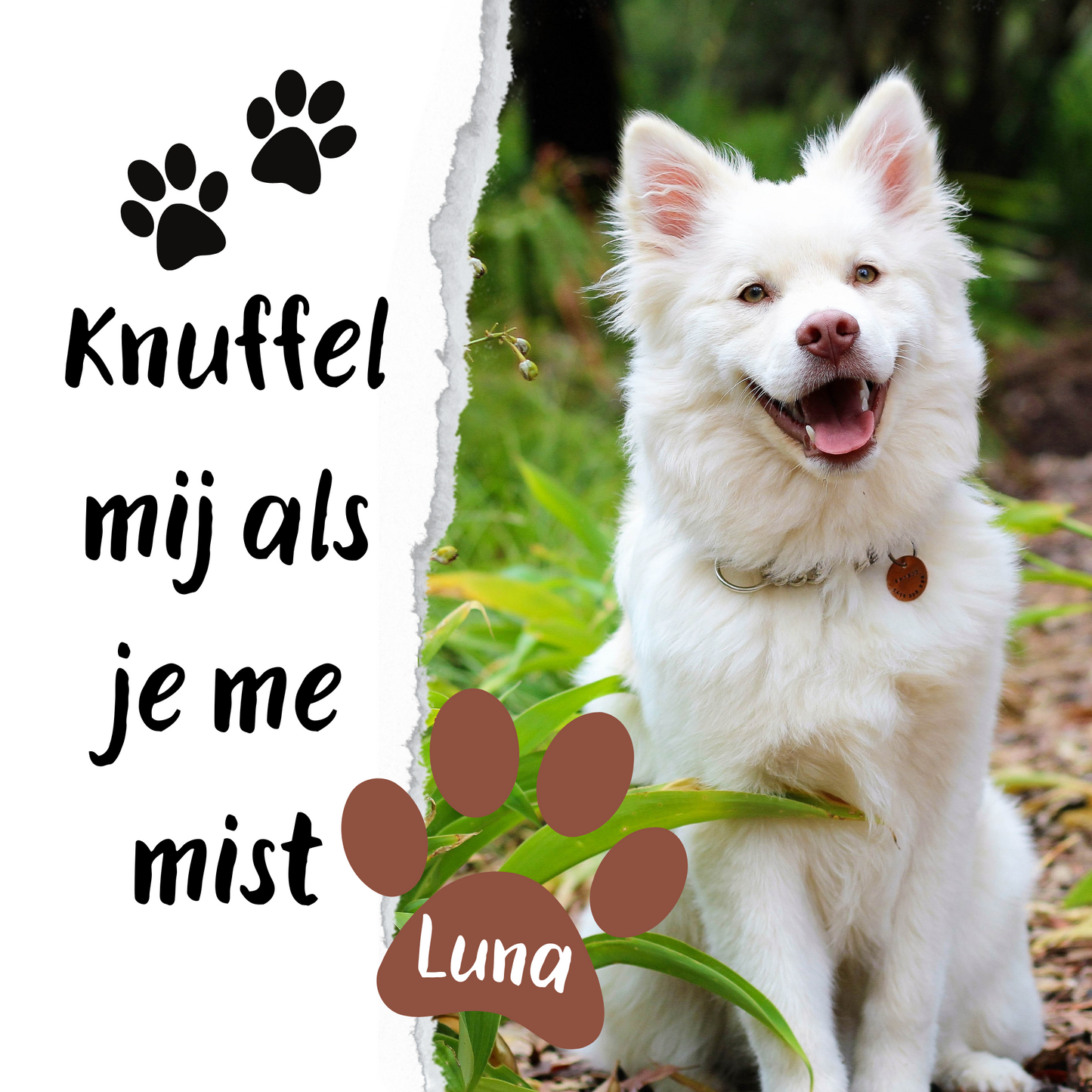 Knuffel mij als je me mist