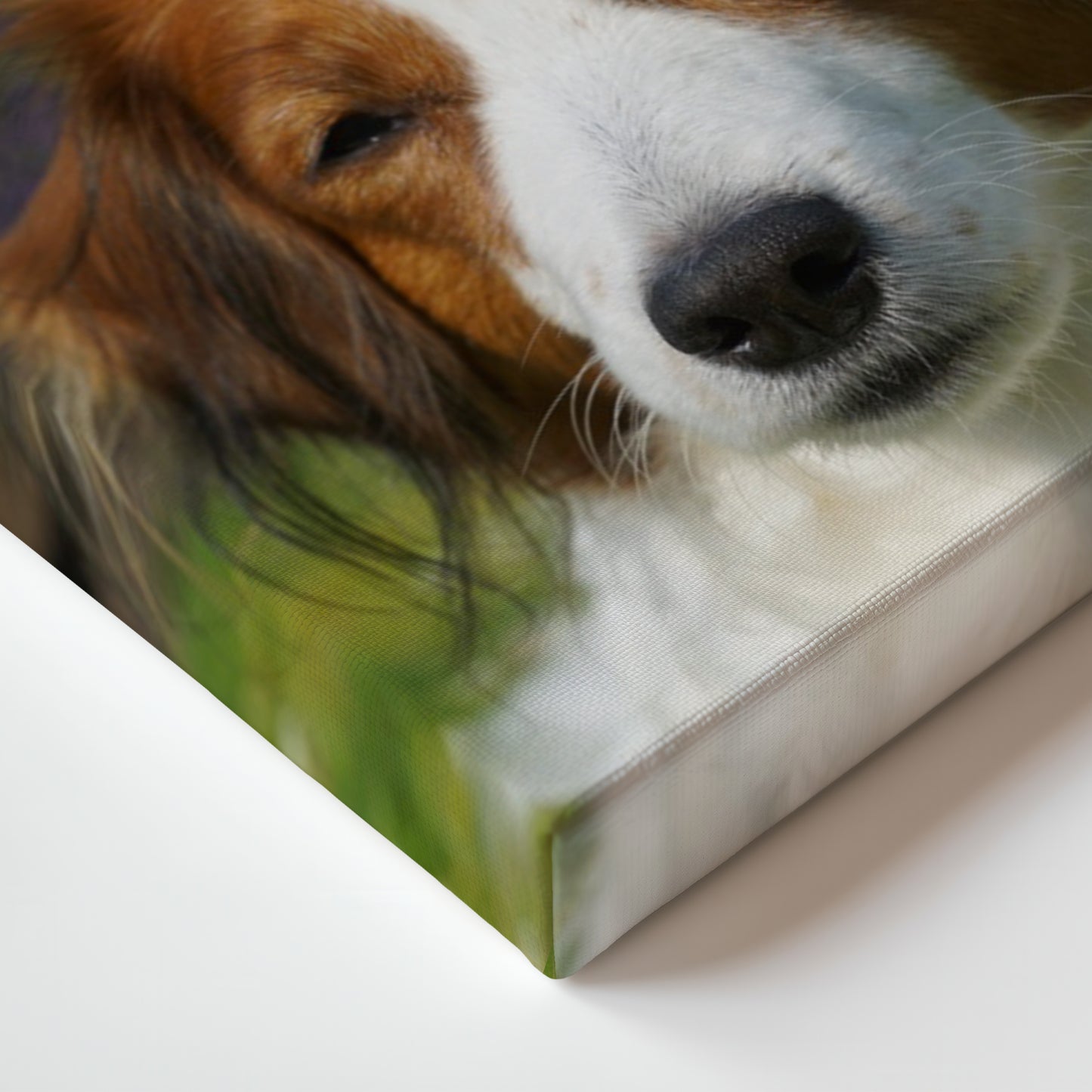 Canvas