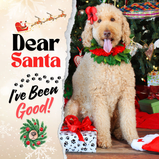 Dear Santa - Kussen