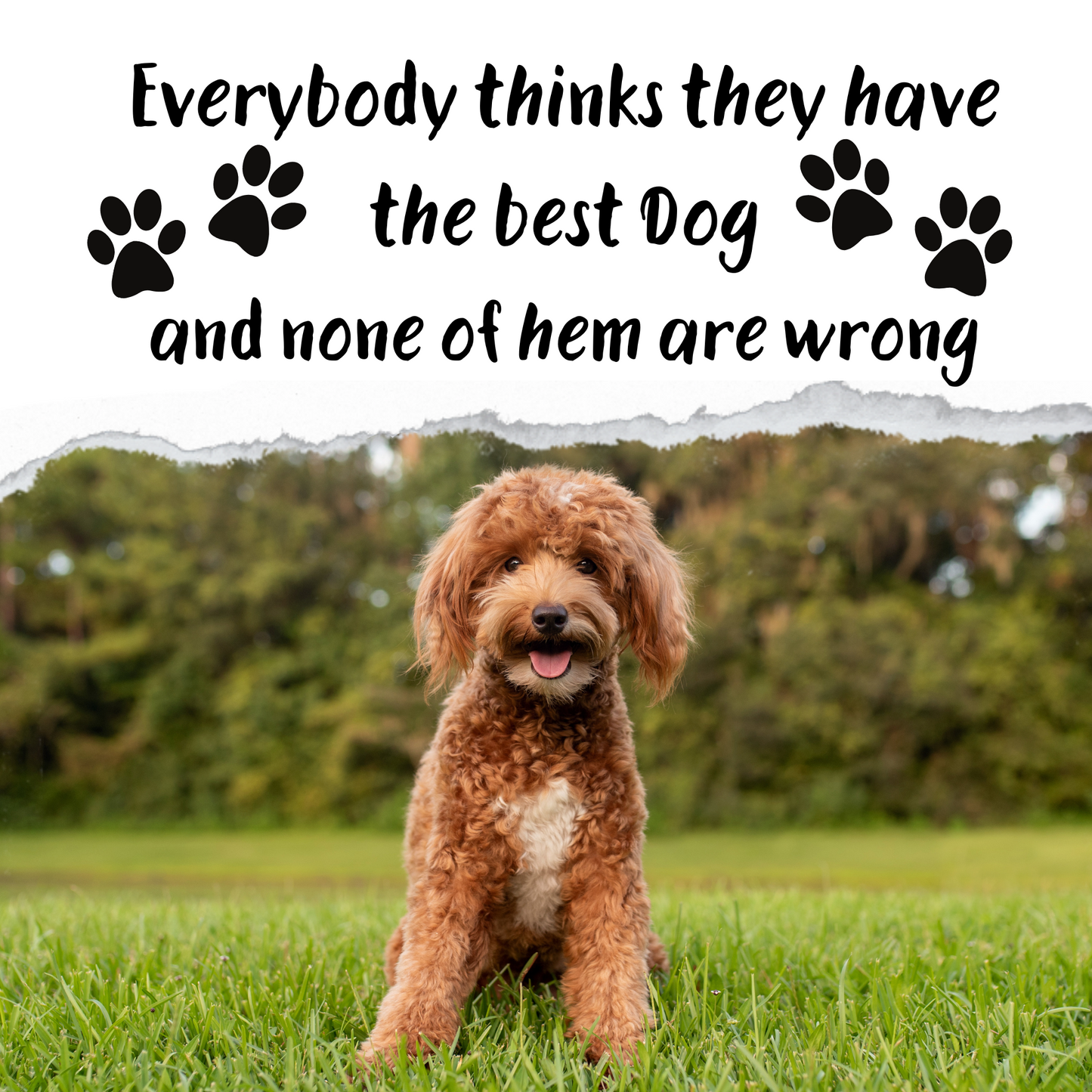 The Best Dog