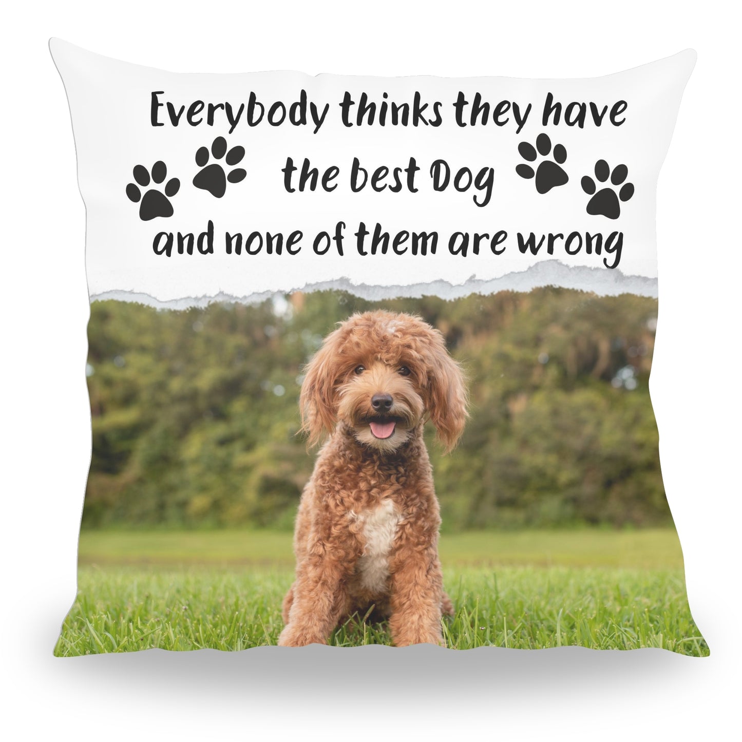 The Best Dog