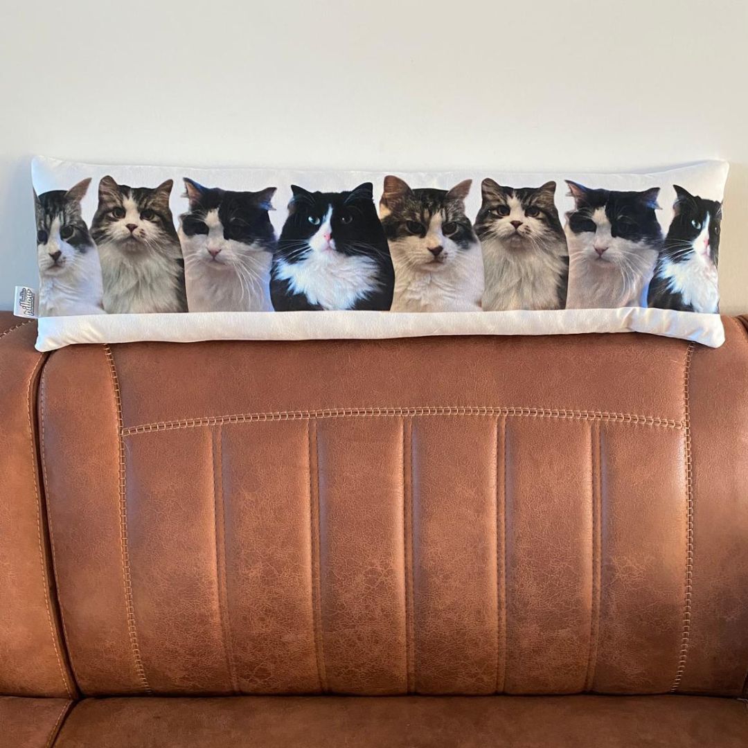 Foto op rij - katten - tochtkussen