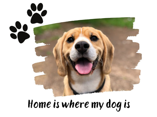 Home is where my dog is - Lamp