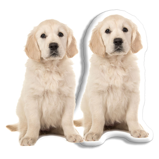 Honden Kussens van pillowbuddies bestel je eigen kussen met de print van jouw hond daarop!