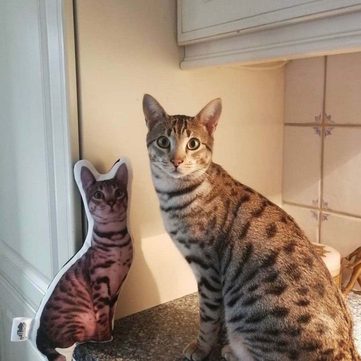 Katten Kussen - knuffel