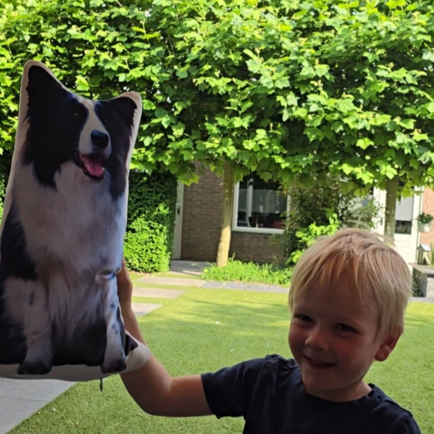 Honden Kussens