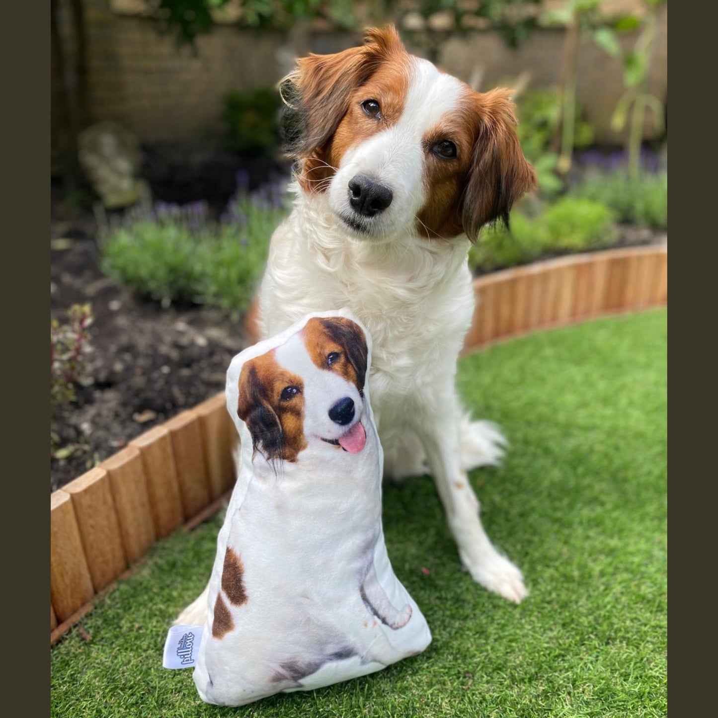 Honden Kussens
