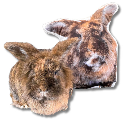 Konijnen Kussens - Met een eigen opdruk / foto van jouw konijn!