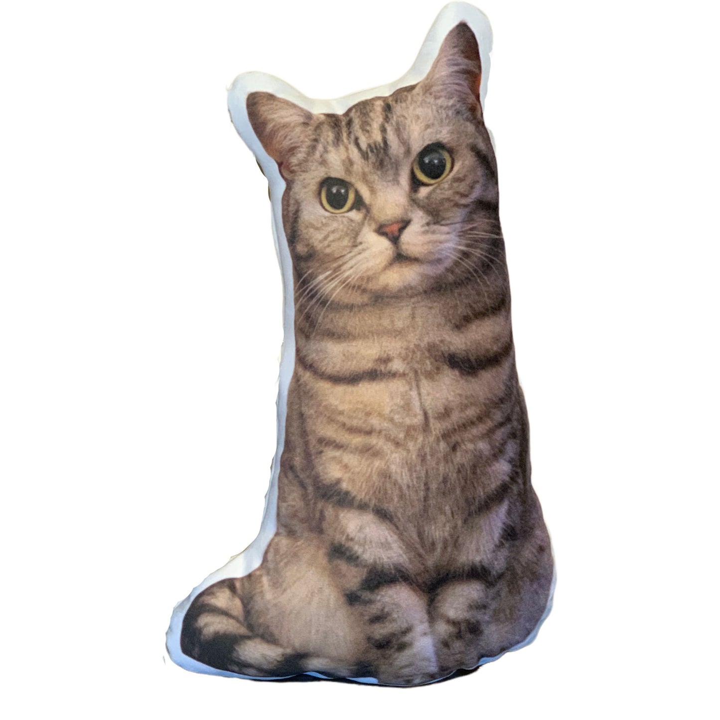 Kussen Kat