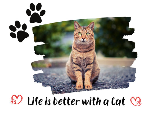 Life is better with a cat - lamp - 3