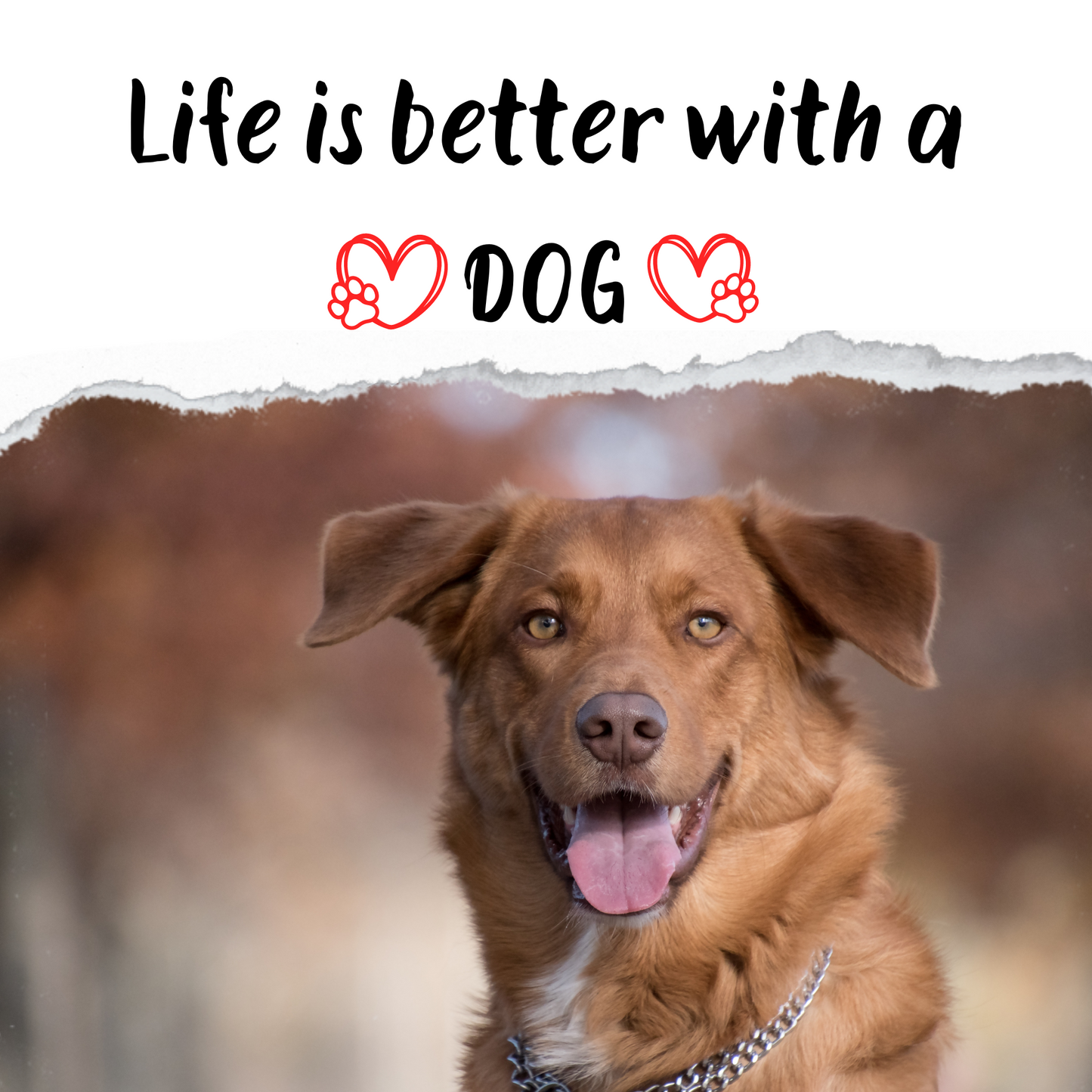 Life is better with a dog - 1