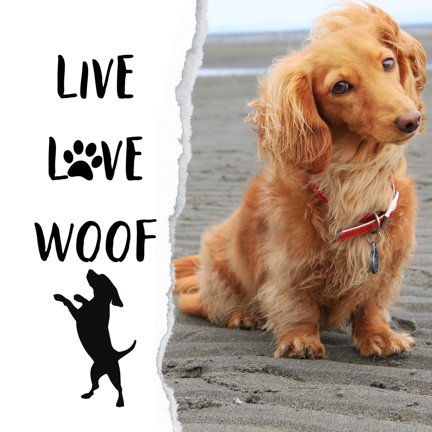 Live love woof - 1