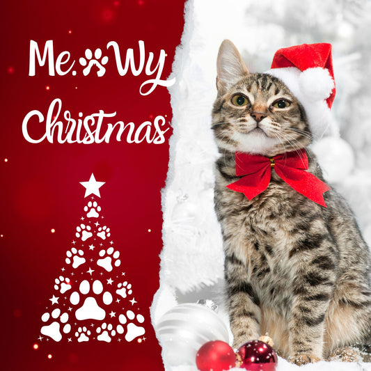 Meowy Christmas - 2