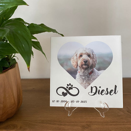 Tegel - Infinity - 2