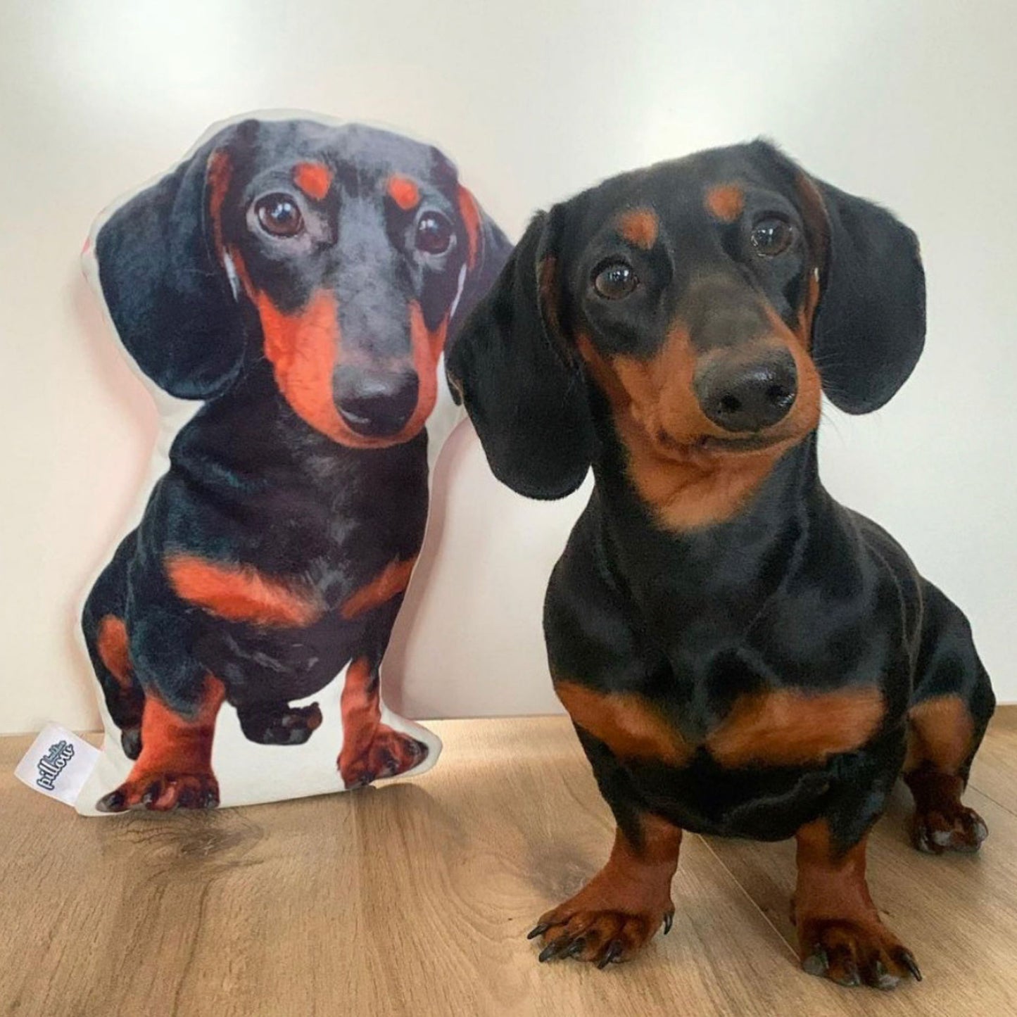 Tekkel - Honden Kussen