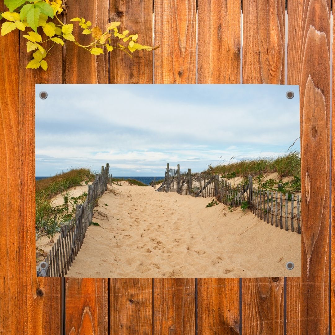 Tuinposter met strand en duinene