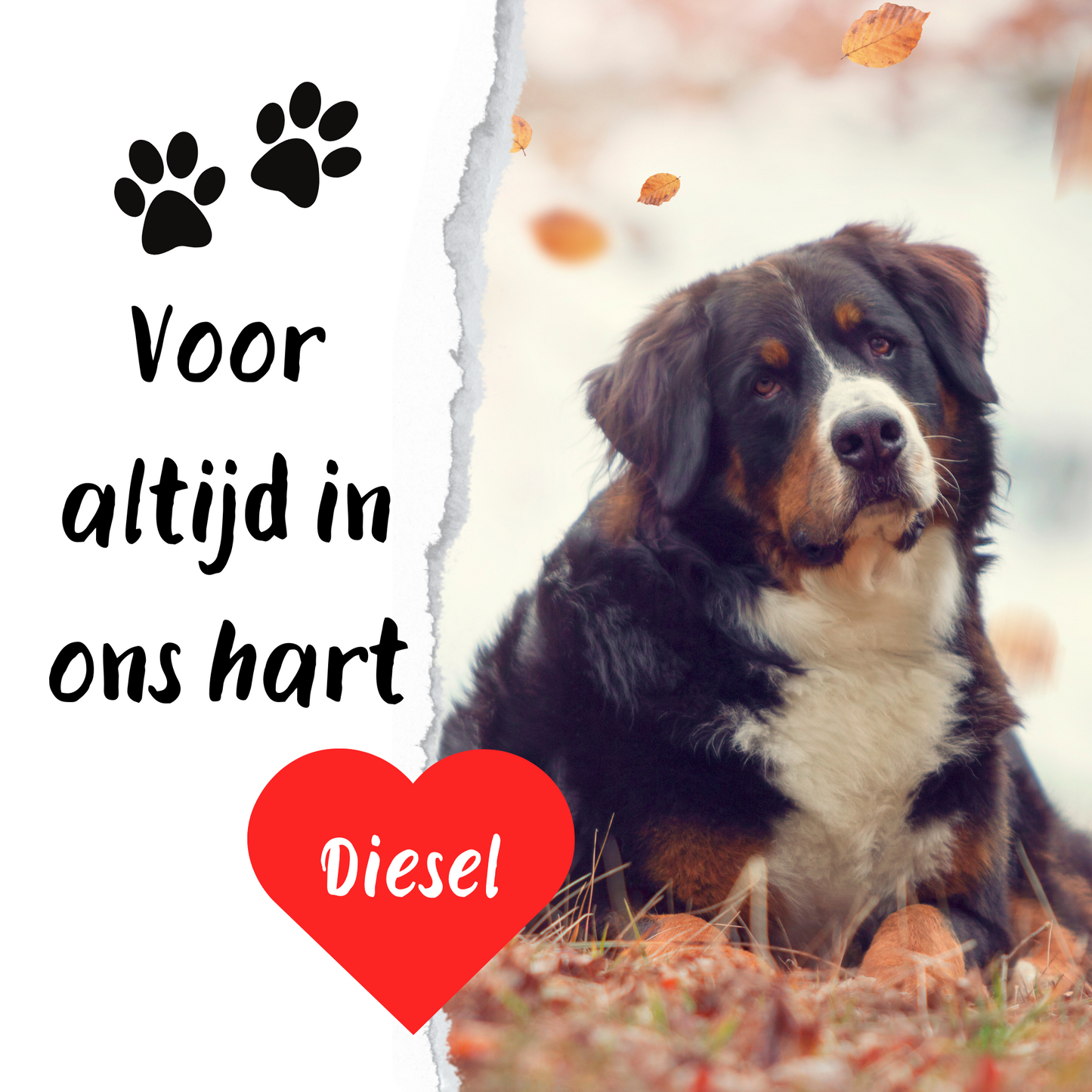 Voor altijd in ons hart - 1