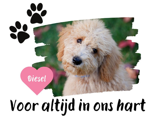 Voor altijd in ons hart - lamp - 3