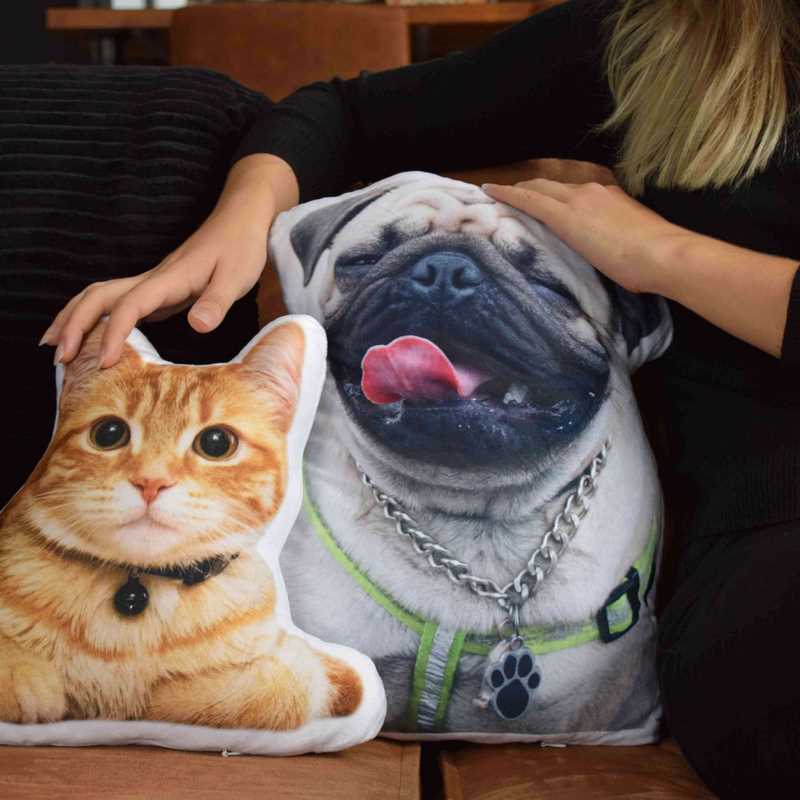Pillowbuddies-Pillow-Cat