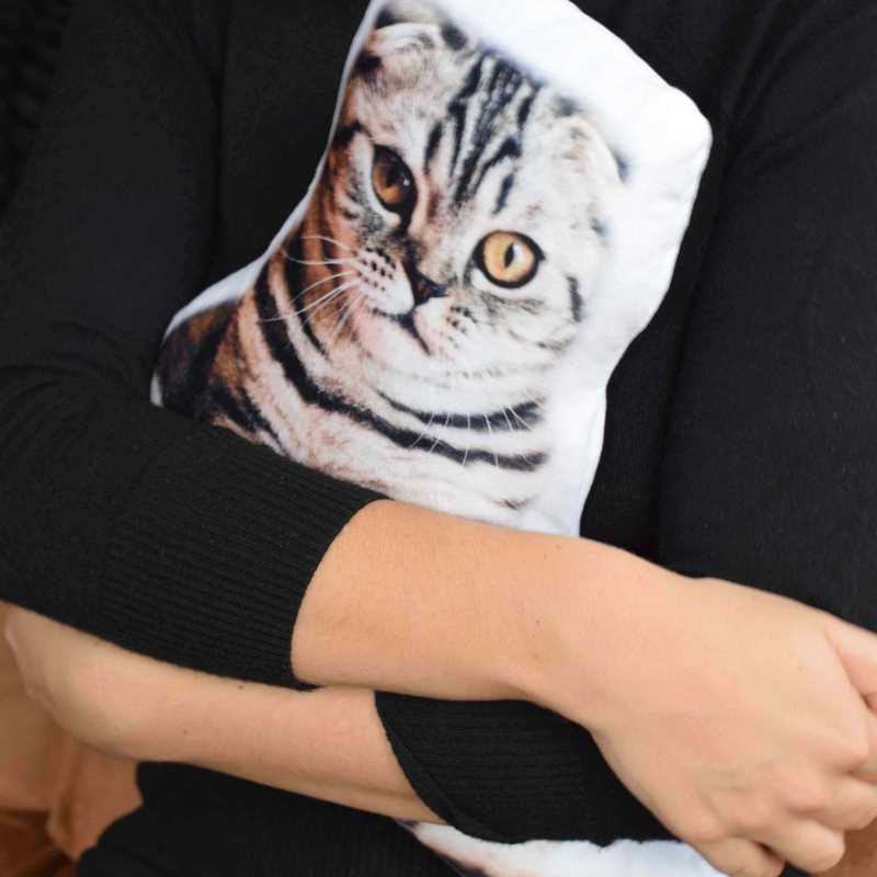 Pillowbuddies-Pillow-Cat