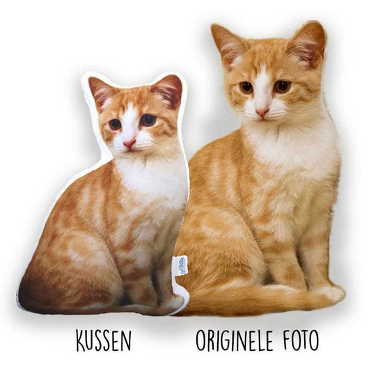 pillowbuddies-kussenorigineel