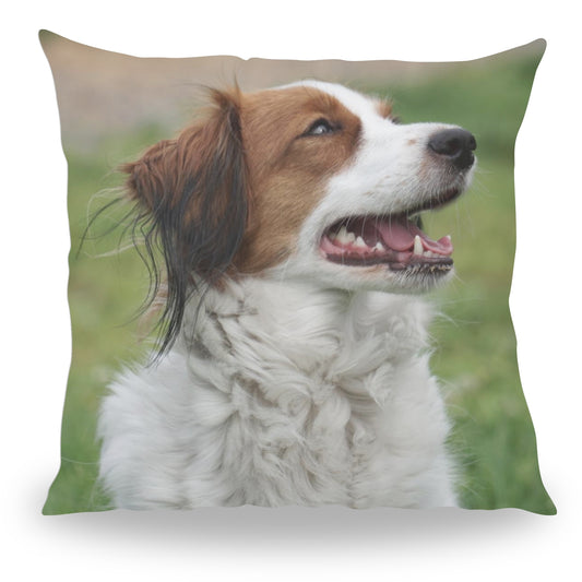 Volledig bedrukt kussen