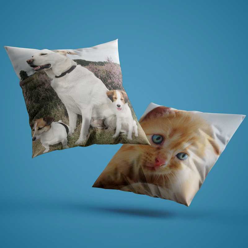 pillowbuddies-vierkantkussen3