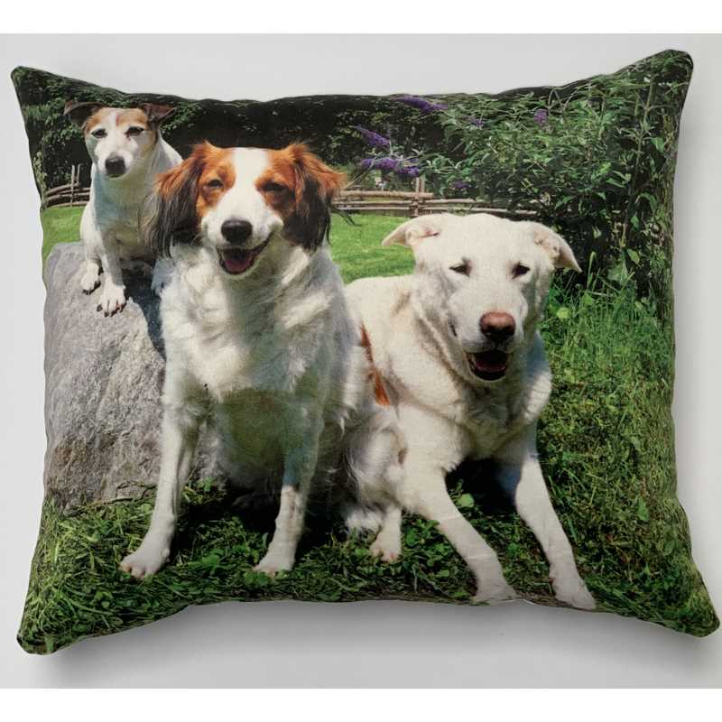 pillowbuddies-vierkantkussenhonden