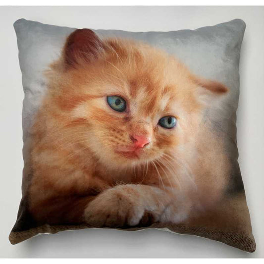 pillowbuddies-vierkantkussenkitten