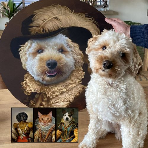 🐾 Hét moment om je huisdier tot legende te maken