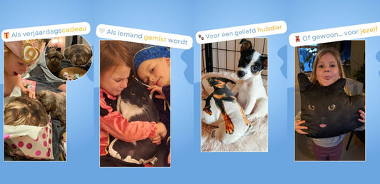 Wanneer geef je een PillowBuddy cadeau? 5 bijzondere momenten