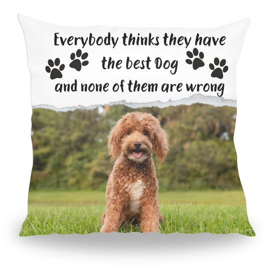 The Best Dog