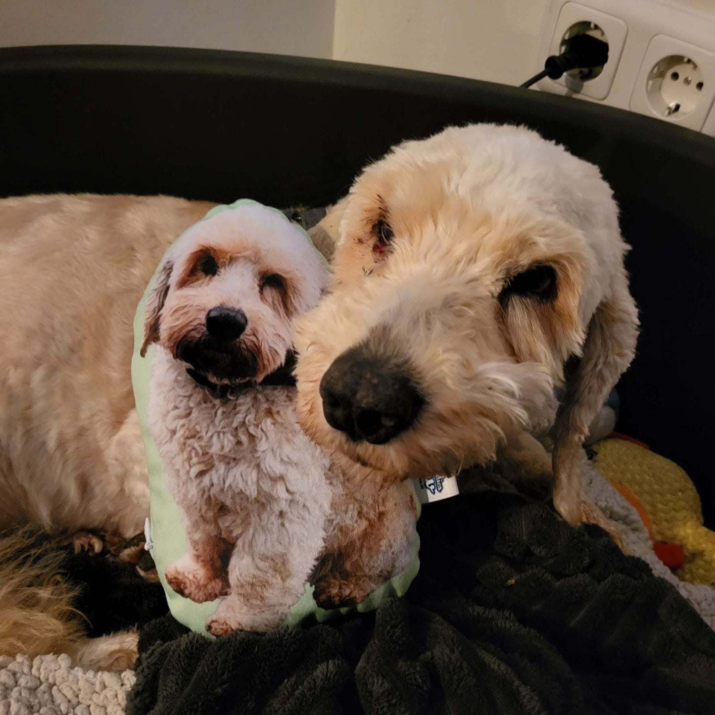 Honden Kussens