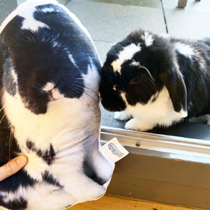 Kussen met opdruk van jouw hond, kat, konijn, cavia, paard enz.