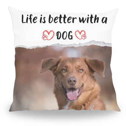 Life is better with a dog