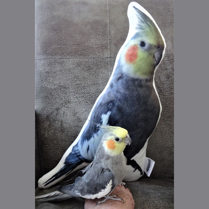 Kussen met opdruk van jouw hond, kat, konijn, cavia, paard enz.