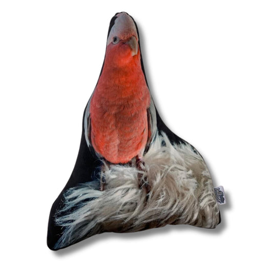 Vogel Knuffelussen