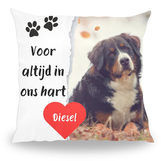 Voor altijd in ons hart