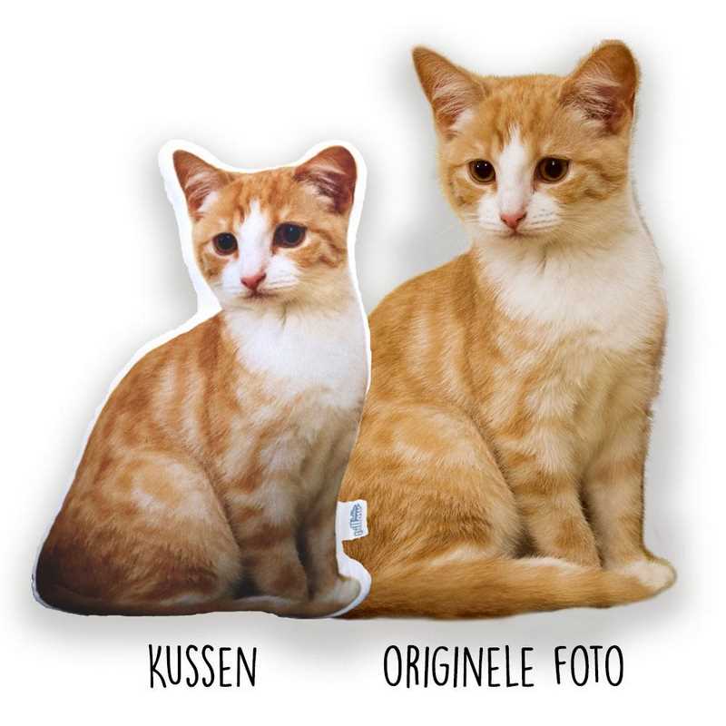 Kado voor poezen liefhebber