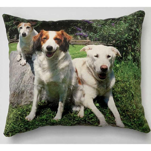 pillowbuddies-vierkantkussenhonden