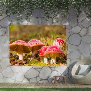 Pillow Buddies buitenposter – sfeervol herfsttafereel met mos en paddenstoelen