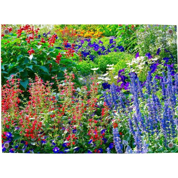 Schuttingdecoratie: tuinposter met een veld vol wilde bloemen