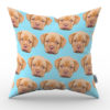 multiface pillow