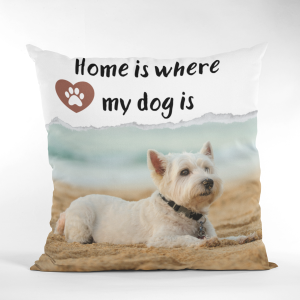 Home is where my dog is - 3