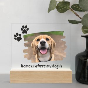 Home is where my dog is - lamp -1