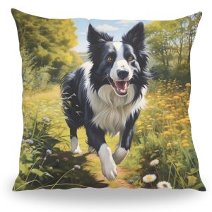 Border Collie kussen 1