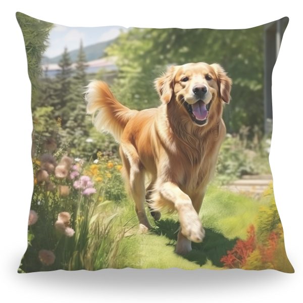 Golden Retriever kussen 1