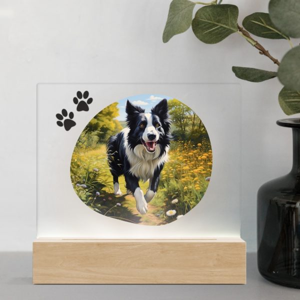 3D Led Lamp - Border Collie 1