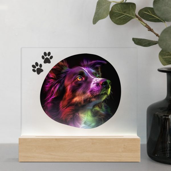 3D Led Lamp - Border Collie 1 Color