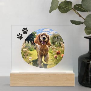 3D Led Lamp - Cocker Spaniel 1